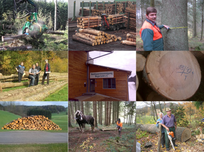 assets/images/6/colage-4ffc9d28.png