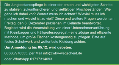 assets/images/a/2024_16%20Deckblatt%20Nov2-aa067ccb.png