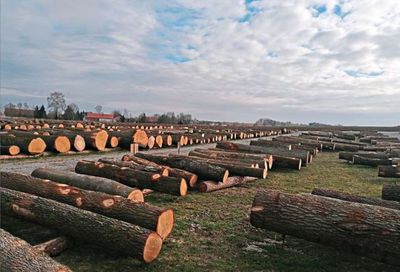assets/images/b/LageplatzReisbach-5b1f7ccb.jpg