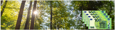 assets/images/c/Bundeswaldpr%C3%A4mie-e6d59869.png