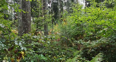assets/images/e/IMG_20191010_100013-1920x1024-b51e7fd0.jpg